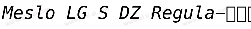 Meslo LG S DZ Regula字体转换